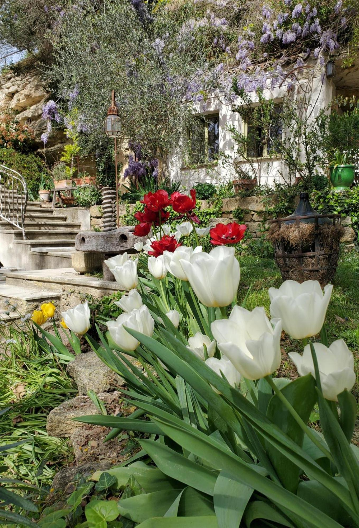 Moulin De Bonfilhon Bed & Breakfast Cornillon-Confoux Bagian luar foto